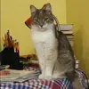 Отзыв от Яна Клюева